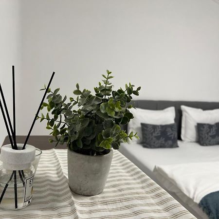 The N Apartment Cluj-Napoca Exterior photo